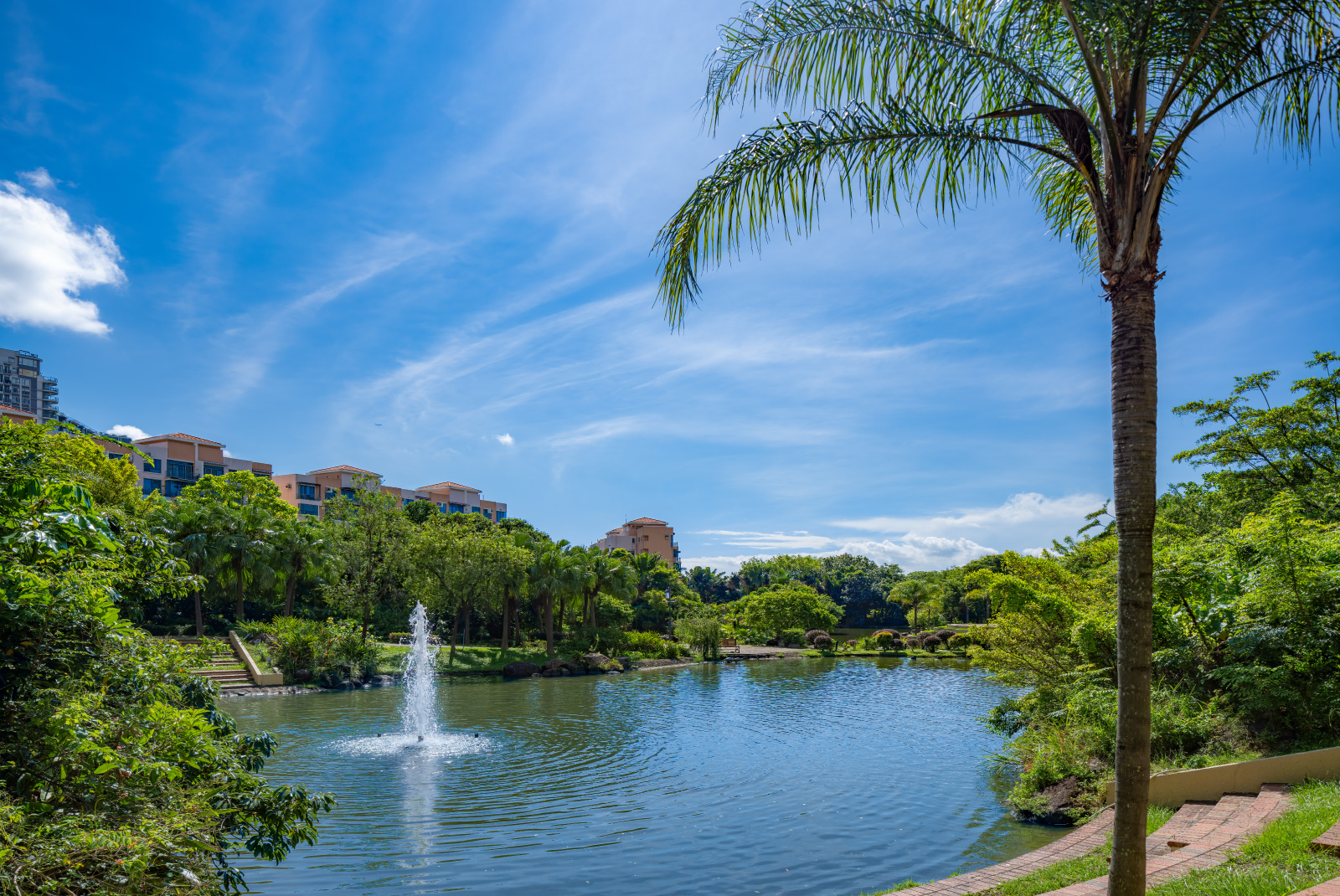 愉景灣中央公園生活場景